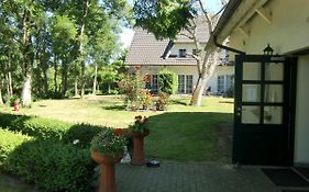 Auszeit auf Rügen